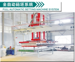 Full automatic setting machine system